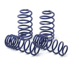 H&R 94-01 Acura Integra DC Sport Spring (Non Type R) for Acura Integra Type-R DC2