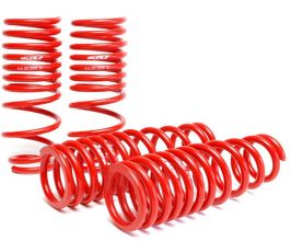 Springs for Acura Integra Type-R DC2