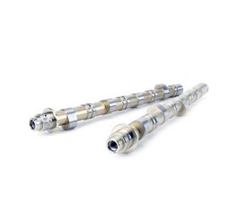Skunk2 Honda / Acura K20A/A2/Z1/Z3 & K24A2 2.0L DOHC BMF 2 VTEC Camshafts for Acura Integra Type-R DC5