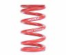 Skunk2 Universal Race Spring (Straight) - 6 in.L - 2.5 in.ID - 10kg/mm (0600.250.010S) for Acura RSX
