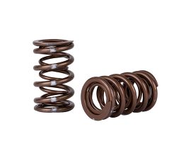 Skunk2 Pro Series Honda/Acura K-Series i-VTEC XP Valve Spring Set (Dual Springs) for Acura TSX CL9