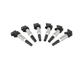 Mishimoto 2002+ BMW M54/N20/N52/N54/N55/N62/S54/S62 Six Cylinder Ignition Coil Set of 6 for BMW 1-Series E