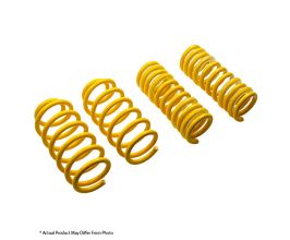 ST Suspensions Sport-tech Lowering Springs BMW E30 Convertible; Strut 2.0 / 51mm for BMW 3-Series E