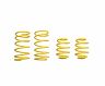 ST Suspensions Sport-tech Lowering Springs BMW E30 Sedan+Coupe; Strut 1.8 / 45mm for Bmw 318i / 318is