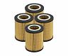aFe Power Pro GUARD D2 Oil Filter 96-06 BMW Gas Cars L6 (4 Pack) for Bmw 325i / 330i / 330xi / 325xi