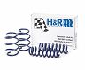 H&R 13-16 BMW 328i xDrive Gran Turismo/335i xDrive Gran Turismo (AWD) F34 Sport Spring