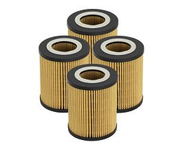 aFe Power Pro GUARD D2 Oil Filter 96-06 BMW Gas Cars L6 (4 Pack) for BMW 5-Series E