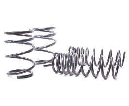 H&R 04-06 BMW 525i/530i/545i E60 Race Spring (w/o Self Leveling) for BMW 5-Series F