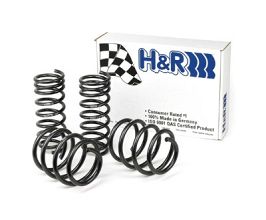 H&R 04-11 BMW 645Ci Coupe/650i Coupe E63 Sport Spring (w/Dynamic Drive/Non Convertible) for BMW 6-Series E
