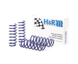 H&R 11-16 BMW 528i/535i F10 Sport Spring for BMW 6-Series F