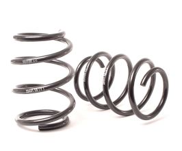 H&R 99-03 BMW M5 E39 Sport Spring (Front Only) for BMW M5 E