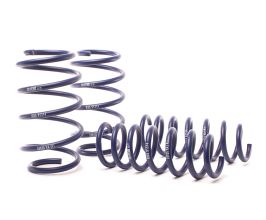 H&R 11-17 BMW X3 F25 Sport Spring for BMW X3 G