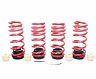H&R 20-21 BMW X5 M/X5 M Competition/X6 M/X6 M Competition F95/F96 VTF Adjustable Lowering Springs for Bmw X5 M