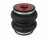 Air Lift Replacement Air Bag for Bmw Z3 Roadster/M Roadster/Coupe/M Coupe