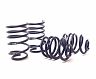 H&R 09-16 BMW Z4 sDrive30i/Z4 sDrive35i/Z4 sDrive35is E89 Sport Spring (w/Sport Susp.) for Bmw Z4 sDrive30i/sDrive35i/sDrive35is