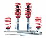 H&R 06-11 Honda Civic/Civic Si Coupe Street Perf. Coil Over for Honda Civic