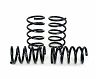 H&R 05-07 Honda Odyssey Sport Spring