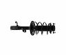KYB Shocks & Struts Strut Plus Front Right LEXUS ES300h 13-15 for Lexus ES300h / ES350