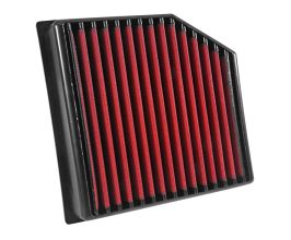 AEM AEM 08-11 Lexus GS460 4.6L V8 DryFlow Air Filter for Lexus IS 3 Late