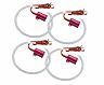 Oracle Lighting Lexus IS 300 01-05 LED Halo Kit - White for Lexus IS300