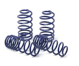H&R 06-13 Lexus IS350 (2WD) Sport Spring (Non Convertible) for Lexus IS XE20