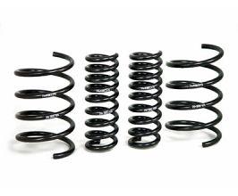 H&R 01-06 Mercedes-Benz C240/C320/C55 AMG W203 Sport Spring for Mercedes C-Class W203