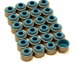 GSC Power Division P-D Nissan VQ35DE Viton 5.5mm Valve Stem Seal Set for Nissan Altima L32