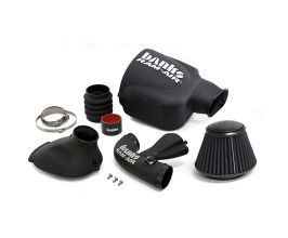 Banks 04-14 Nissan 5.6L Titan Ram-Air Intake System - Dry Filter for Nissan Titan A60