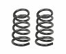 Maxtrac 04-17 Nissan Titan 2WD/4WD 2in Front Lowering Coils