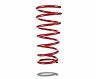 Pedders Rear spring low 2002-2008 FORESTER SG for Subaru Forester