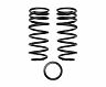 ICON 2008+ Toyota Land Cruiser 200 1.75in Dual Rate Rear Spring Kit